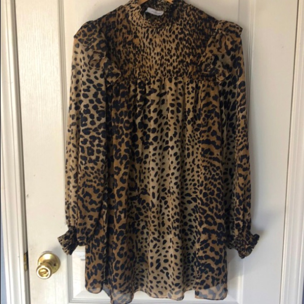 Zara leopard sheer dress